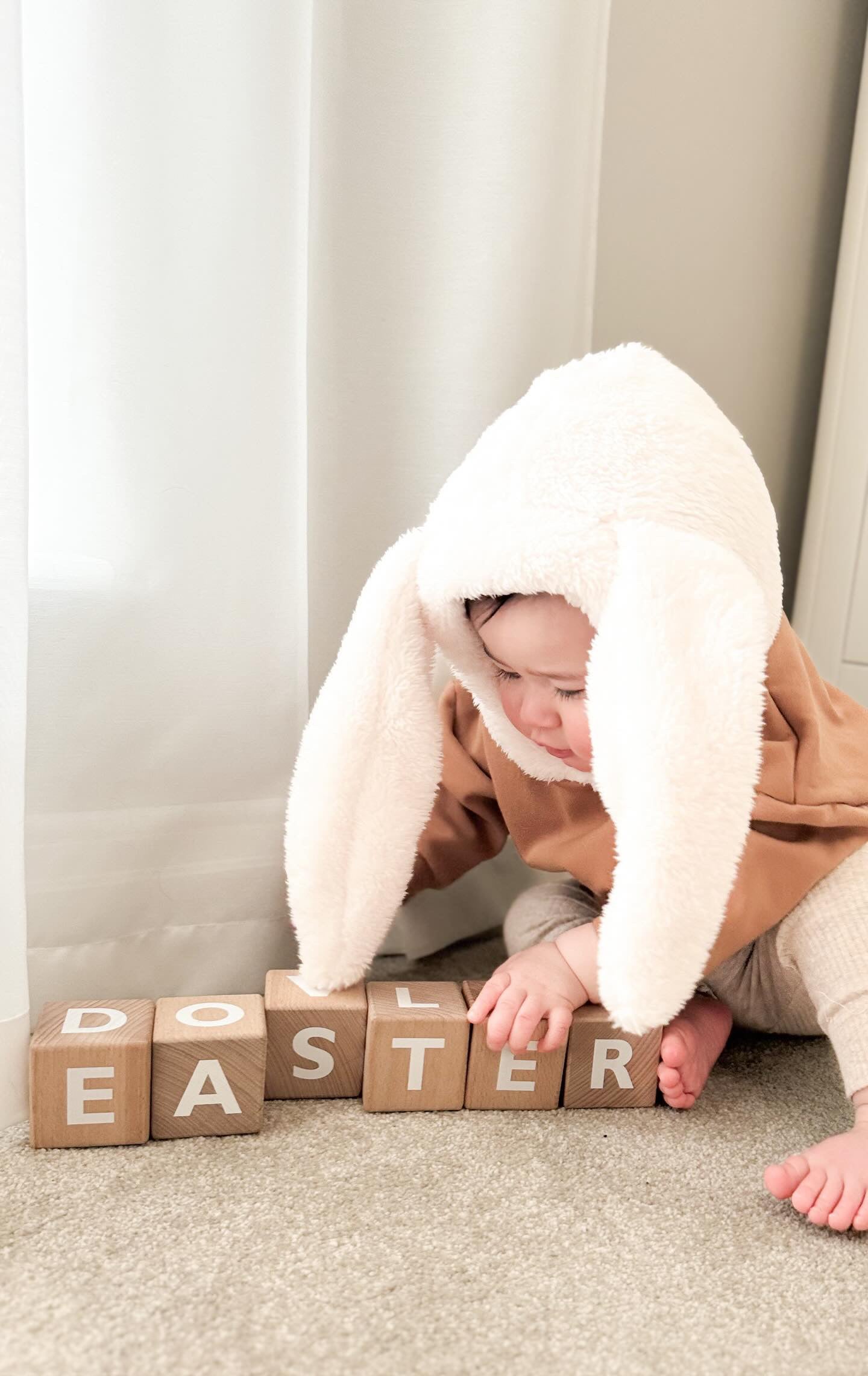 BUNNY SAND HOODIE