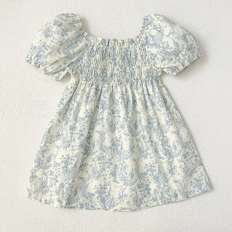 BLUE TOILE DE JOIE DRESS
