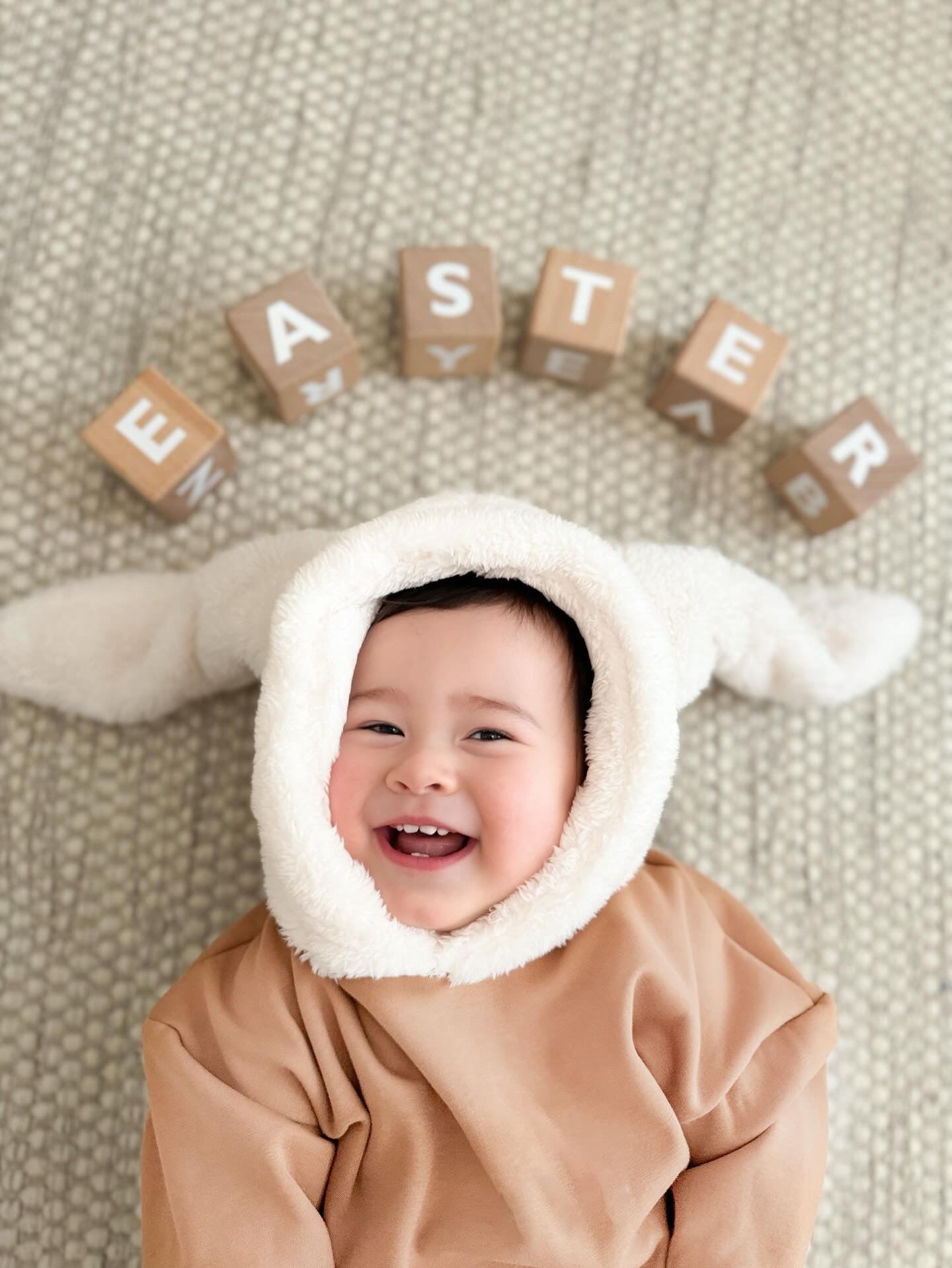BUNNY SAND HOODIE
