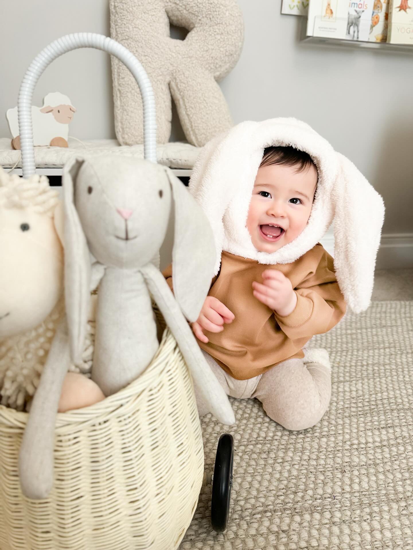 BUNNY SAND HOODIE