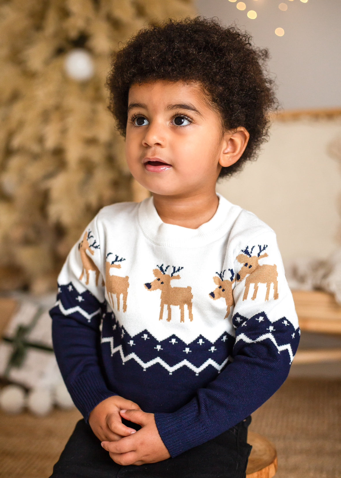 NAVY REINDEER SWEATSHIRT