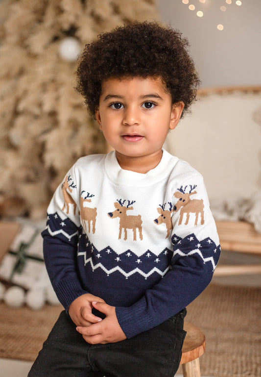 NAVY REINDEER SWEATSHIRT
